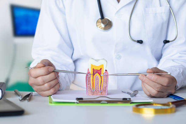 Best Emergency Dental Care for Broken or Chipped Teeth in Kelso, WA
